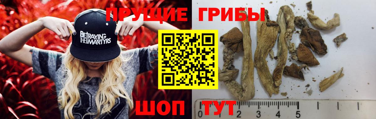 Псилоцибиновые грибы мухоморы Владивосток